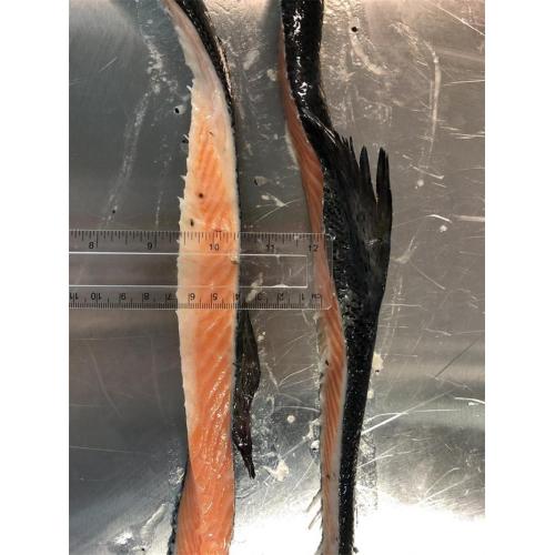 Frozen Salmon Back Trim