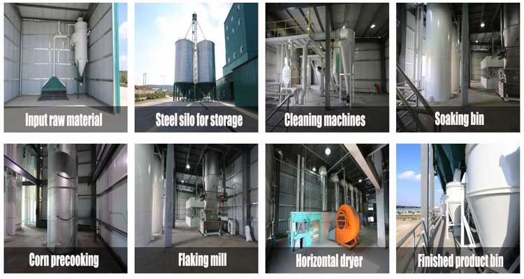 Flaking Precookd Corn Flour Arepas flour Roller Mill Steam flake mill for Venezuela, Mexico, Ecuador, Argentina
