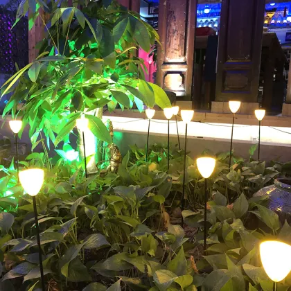 Holiday lighting and garden decoration lighting for outdoor