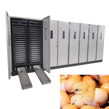 Solar-Powered Chicken Egg Incubator/Hatcher