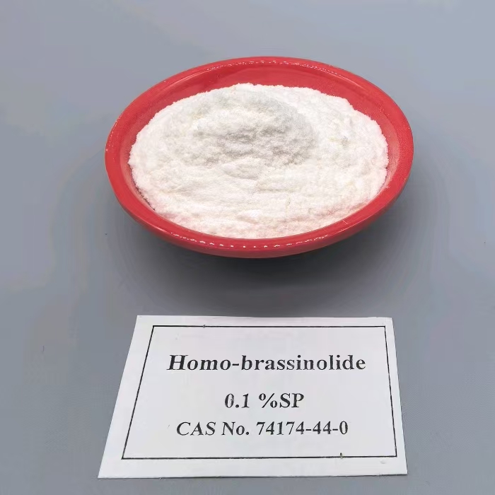 homo-brassinolide plant growth regulator auxin (2)