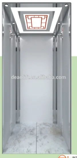 250KG Small Elevator For 2 person Man Lift