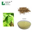 Small MOQ Top Quality kava kava extract