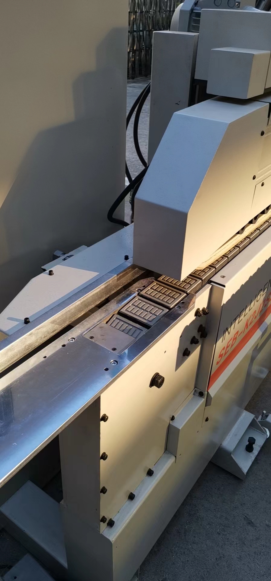 Automatic edge sander for edges in wood