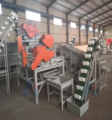 Walnut and Pecan Shelling Processing Line
