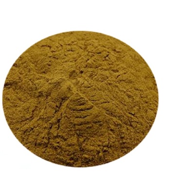 Buy online Argy Wormwood Extract factory