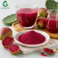 Polvo de fruta de cactus para suplementos dietéticos