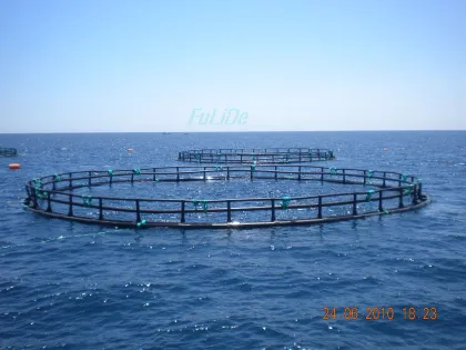 Deep Sea Fish Cage