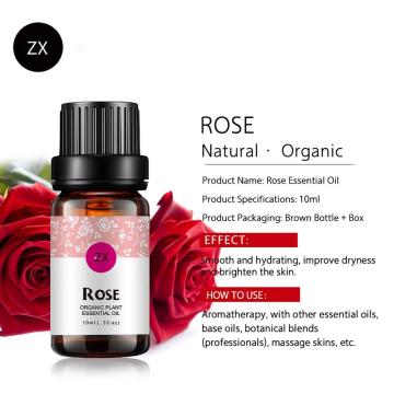 OEM Plant Extract Rose Oil Aromatherapy Massage Body Essential Oil Rose Oil Aromatherapy Massage Body Essential Oil