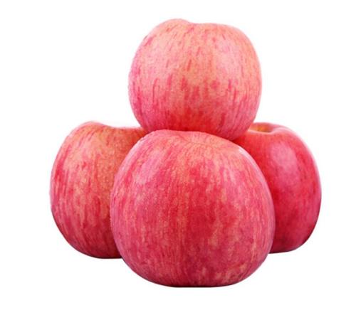 elma meyve taze kırmızı Fuji durumda paketi var