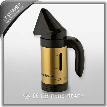 A6 Triangle Golden Face steamer ,hanging clothes steam iron,optima steamer