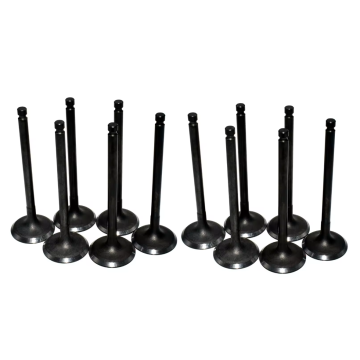 2221137201 Intake Valve for Engine