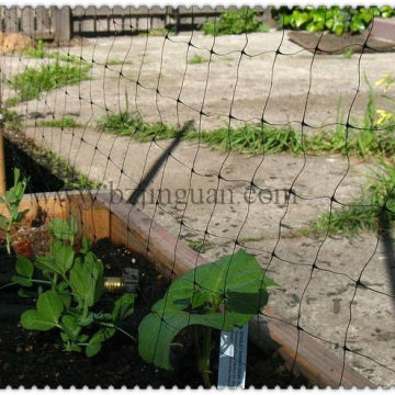 Cucumber Net/Plant Supporting Net