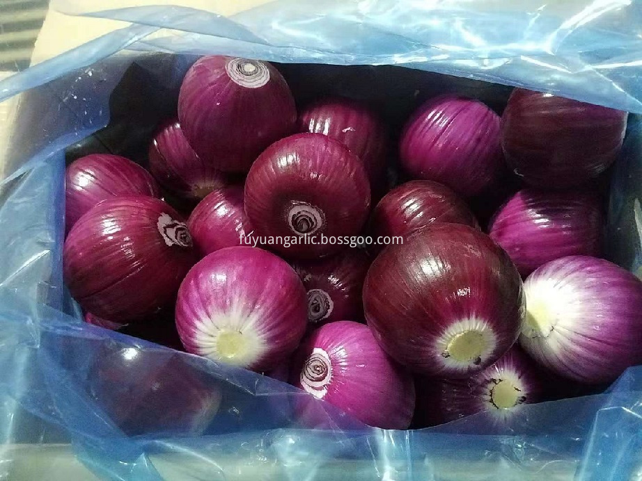 red onion