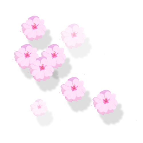 Yu Gi Oh fabushipin yu qiantai xianshi buyiyang cesshi Manufactory