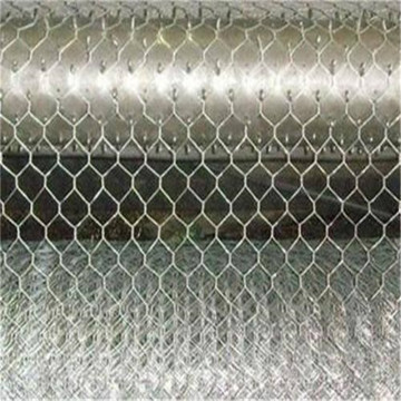 Galvanized Hexagonal Wire Netting Chicken Wire Mesh