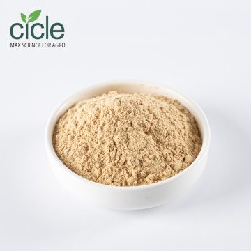 Nature Tea Saponin Powder