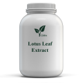 Wholesale Lotus eaf extract powder