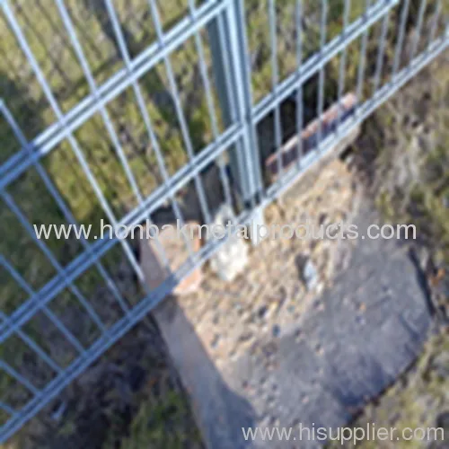 Wire Mesh Double Wires Fences 