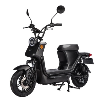 Europe EEC Compliant 800W 2-Wheel Electric Motorcycle & Scooter for Adults