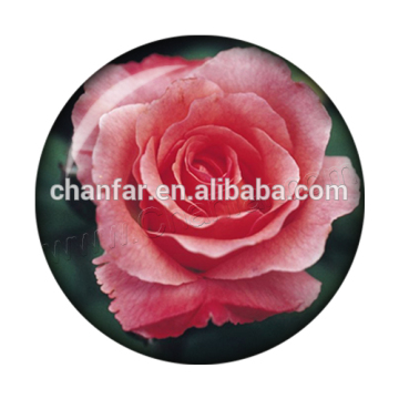 Fashion design 12mm,18mm glass snap button charms jewelry for making fashion jewelry