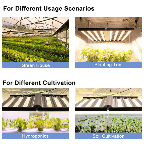 水耕栽培8バー800W LEDライト