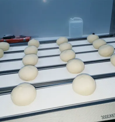 Make Dough Balls for Burger Buns, Hotdog Buns, Brioche, Frozen Dough, Tortilla, Naan Bread