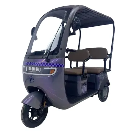 Customizable New Energy Electric Tricycles and Tuk Tuks