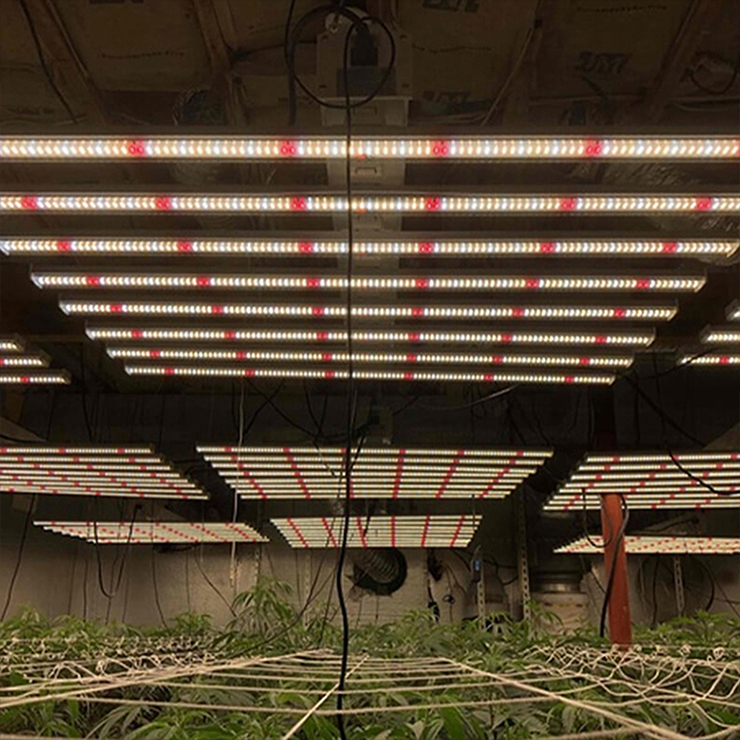 Cahaya tumbuh tumbuh LED Light Grow Grow Led