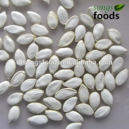 Pumpkin Seeds & Kernels from a Top 100 Companies in Agriculture