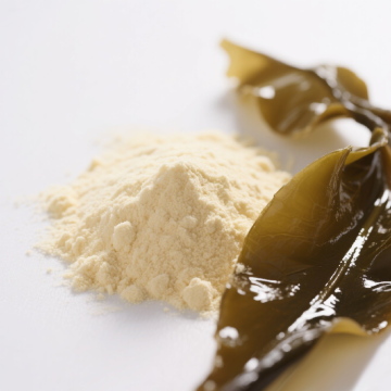 Campione senza polvere di fucoidan