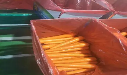 fresh vegetables fresh carrot