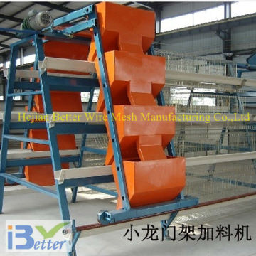 A-type 4 tiers poultry automatic feeding system