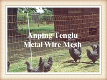 Chicken Wire Netting with Low-carbon iron wire