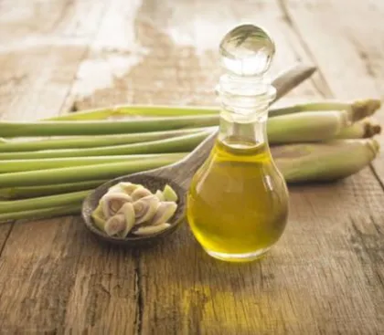 Citronella essential oil for hair care