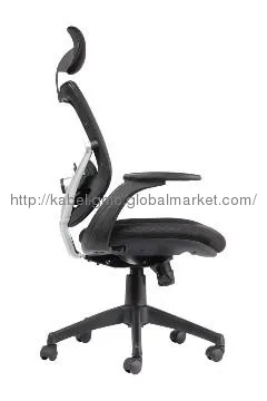 High Back Office Chairs, Ergohuman Chair,Executive Chair