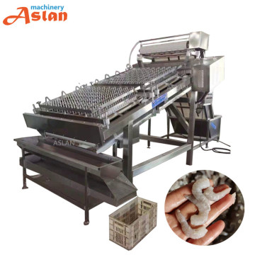 Electric Shrimp Peeler - Prawn Shelling and Skin Removal Machine