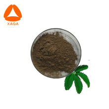 Nutritional Supplement Mimosa Pudica Root Extracts Powder