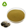 100% Pure Natural Oyster Shell Extract 10:1 Powder