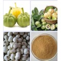 best lose weight product garcinia cambogia powder