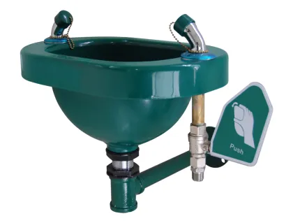 Eye Washer (Wall mounted type)