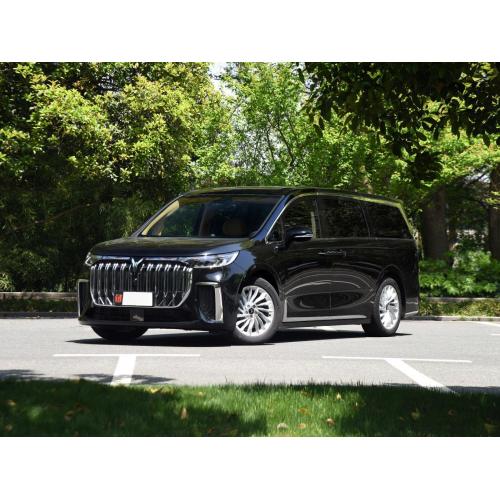 Novu Cars Electric Britannichi Chine Chine MPV Smart EV Voyah Dreamer High Power Always EV