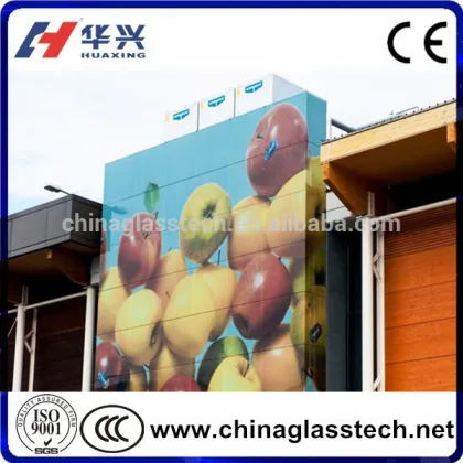 Construction Decorative Customized Pattern Design Tempered Painting Glass