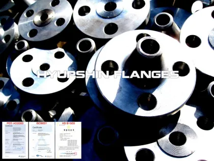 ANSI B16.47 A B Weld Neck Blank Flanges