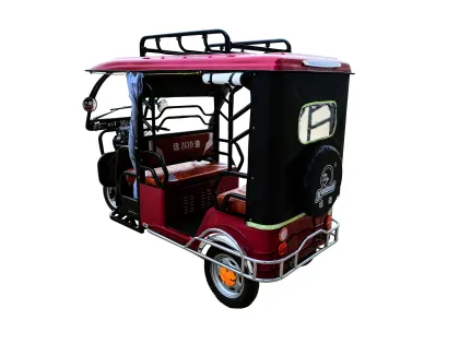 CHENLU Max 6-Passenger Electric Tuk Tuk Taxi Tricycle