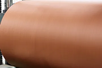BROWN DIPPED NYLON6 CORD FABRIC