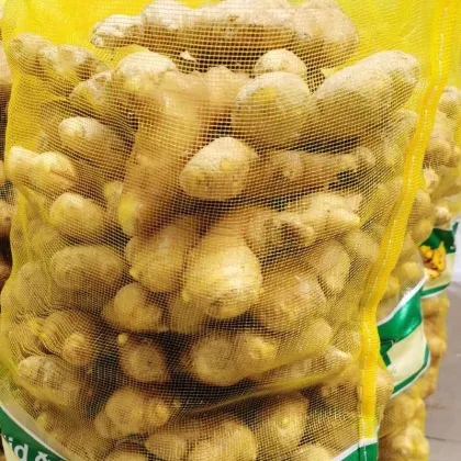 Ginger Fresh Ginger Dry Ginger Semi-Dry Ginger