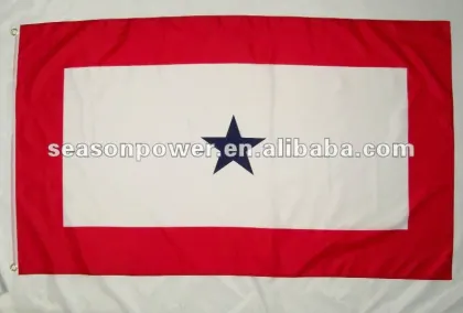 son in service one star flag