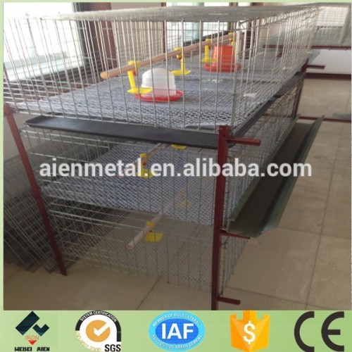 automatic poultry meat broiler rearing cage system