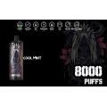 650mAh Bateria recarregável 8000puffs vape